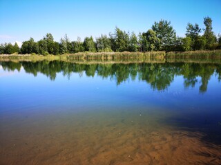 transparent lake with reflection of forest in summer water