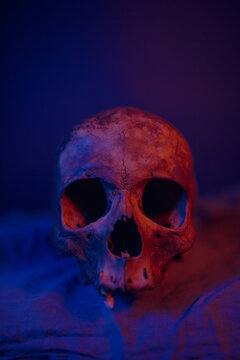 human skull illuminate with blue an red lights