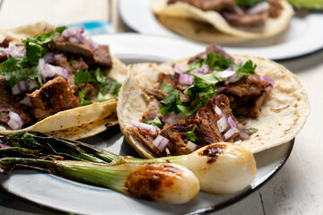 Grilled beef steak tacos on white background. Mexican food