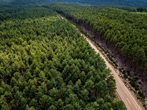 Aerial view of mountain road, Soria, Spain