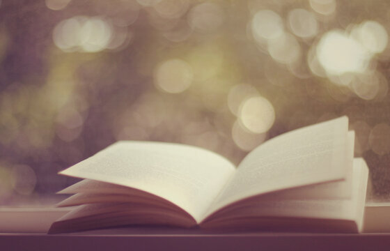 An open book resting on a windowsill on an autumn morning.