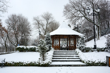 Istanbul Park in Odessa, Ukraine. Winter day in Odessa. Snowy, cold weather. Winter landscape, snowy garden.