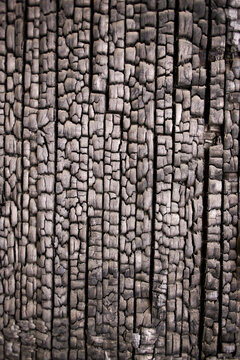Burnt wooden wall