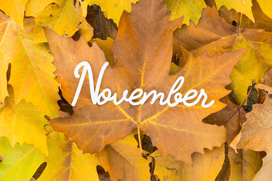November