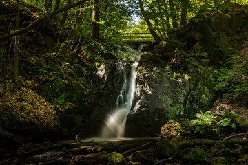 Naklejka premium waterfall in the forest