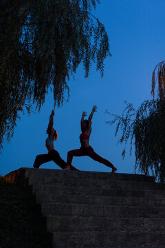 Female's silhouettes doing yoga together in the blue hour