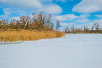 Snowy edge of a snow frozen lake in wetland under a blue white cloudy sky in winter, Almere, Flevoland, The Netherlands, February 9, 2020