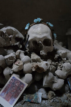 Catacomb Skulls