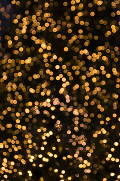 Blurred holiday lights