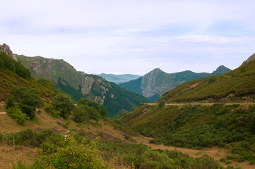Naklejka premium Bonito valle en una zona de montaña llena de vegetación en Somiedo (Asturias, España).