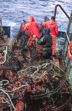 Commercial fishermen launching black cod (sablefish) pots