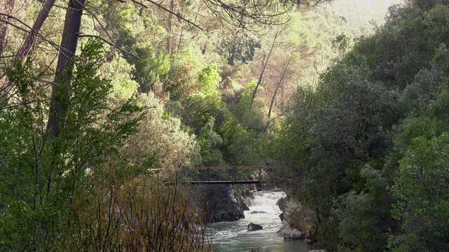 Brunette girl crossing the river by the bridge Sierra de Cazorla