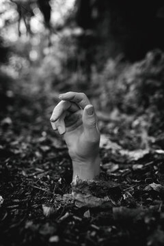 Hand Coming Out Of The Soil