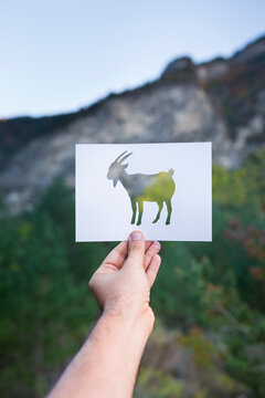 Ibex silhouette on mountain background