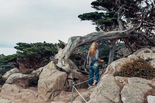 Tourist woman on a rocky hicking trail by a cypress tree