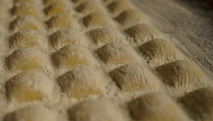 fresh pasta ravioli