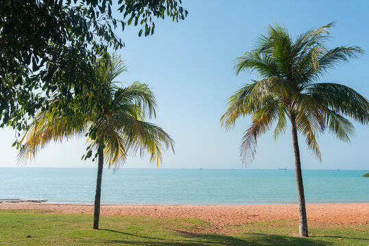 Palm trees on Town Beach Broome