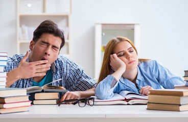 Pair of students studying for university exams