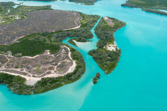 Aerial views of tidal flats in tropics