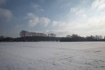 Outdoor scenery of thick layer snow cover land and field, background of tree without leave and...