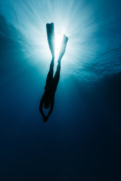 Freediver&Ocirc;&oslash;&Omega;_in blue water