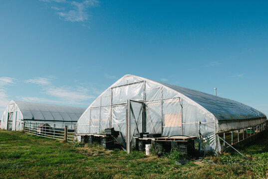 High Tunnel Farming Greenhouse
