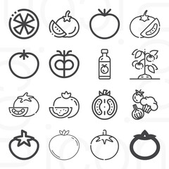 16 pack of tomato isolated  lineal web icons set