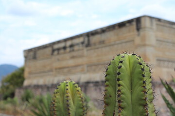 La naturaleza tomando al paisaje.