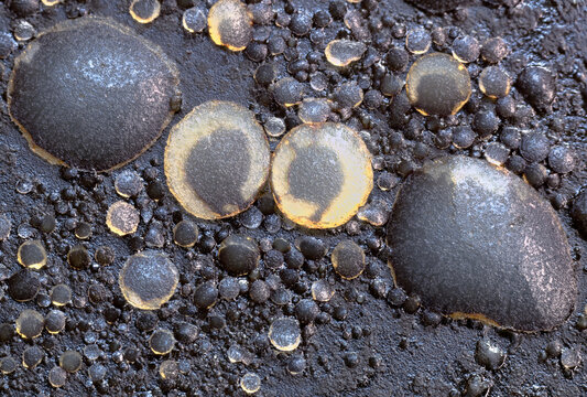 Extreme closeup of congealed grease in the bottom of a frying pan, part looking like two eyeballs