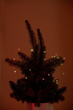 Christmas tree on a rusty color background