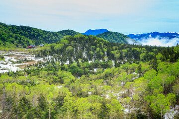 小谷村　栂池自然園 © noriha