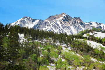 小谷村　栂池自然園