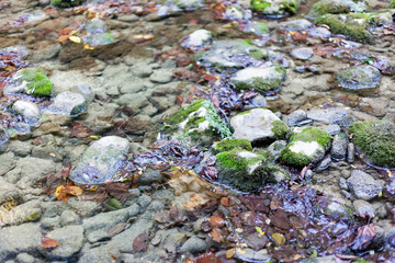 A river with gray stones overgrown with moss close-up with blurry background, used as a background or texture, soft focus