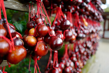 New Year, the Japanese use a red gourd to express their future prayers
