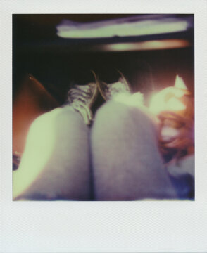 Random old Polaroid photo of cropped young woman legs sitting in the car