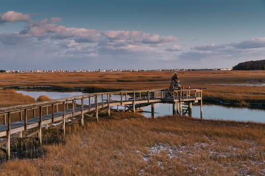 Christmas Tree at the End of the Dock