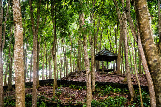 A small shelter or hut in a forested area in Ubud, Indonesia