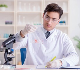 Expert criminologist working in the lab for evidence