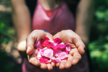 Female handfuls of pink petals