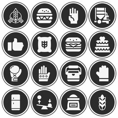 16 pack of food grain  filled web icons set