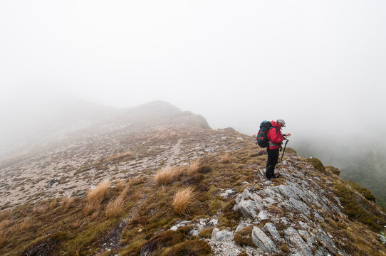 Woman walker navigating in cloudy weather, Kahurangi National Park, New Zealand.