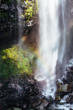 Narada Falls with Rainbow at Mt Rainier National Park