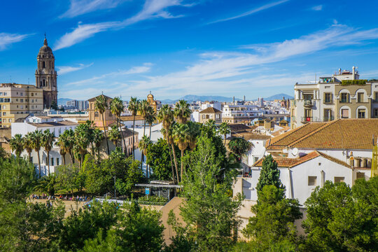 View on Malaga in Andalucia (Spain) from the Alcazaba mirador. We cann the cathedral, the palm trees and the historic center
