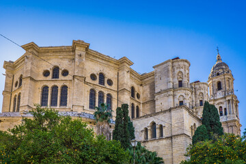 Obraz premium the lateral facade of the Catedral de la Encarnacion in Malaga, Andalucia (Spain), with orange tree in the foreground