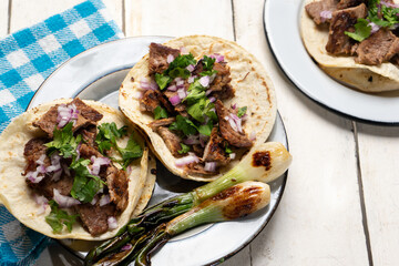 Grilled beef steak tacos on white background. Mexican food