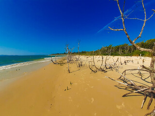 beach and sea