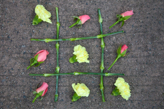 Tic tac toe game using carnations and roses