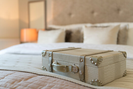 A fake snake skin case on a bed in a bedroom