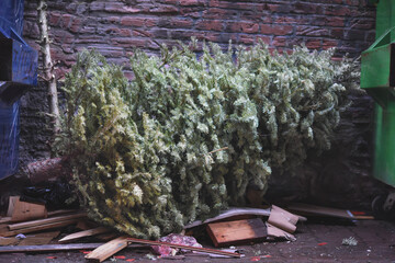 Bye bye Christmas