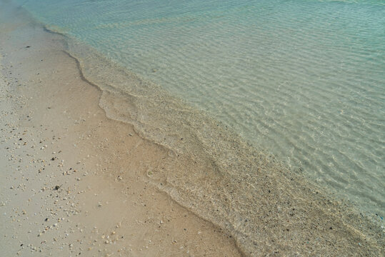 Natural Background - Ocean Shore during Low Tide